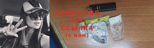 гидра Новозыбков