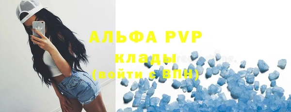 гидра Новозыбков