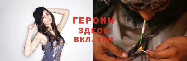 гидра Новозыбков