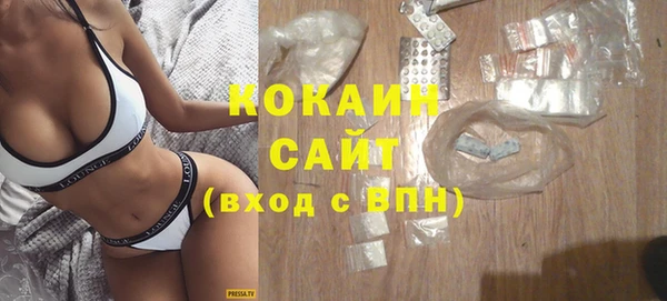 дживик Новозыбков