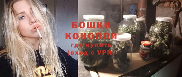 гидра Новозыбков