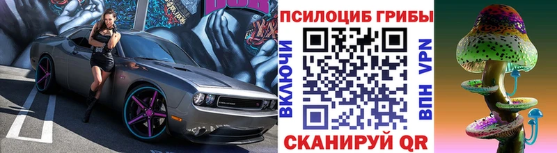 наркошоп  Вичуга  Псилоцибиновые грибы мицелий 