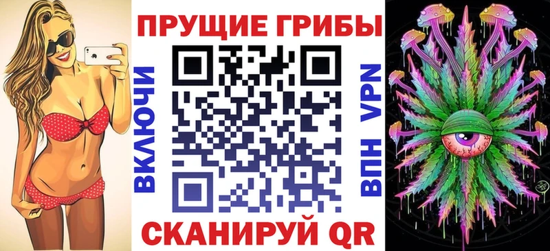 Галлюциногенные грибы Psilocybe Вичуга