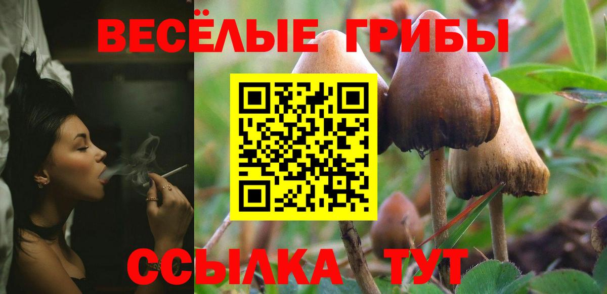 где продают наркотики  Вход с VPN  Вичуга  Галлюциногенные грибы мухоморы 