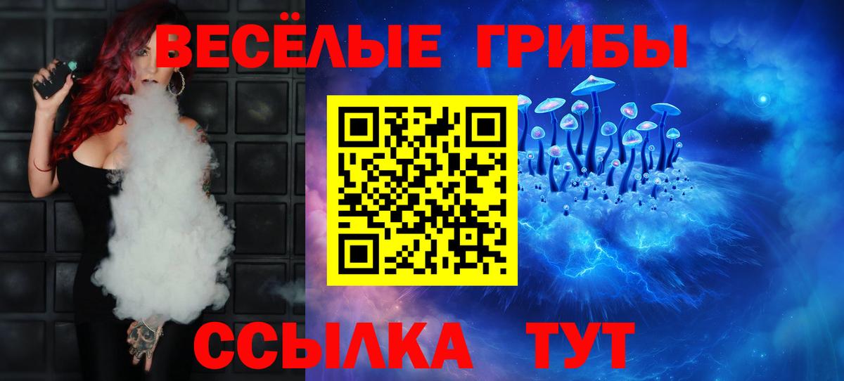 Галлюциногенные грибы Cubensis Вичуга